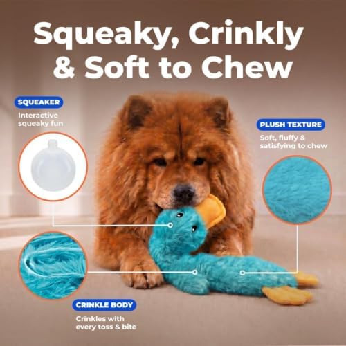 Best Pet Supplies 2-in-1 Stuffless Squeaky Dog Toy - Pack of 4, Medium - Image 2