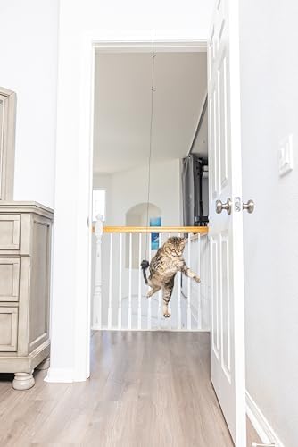 SPOT A-Door-Able Bouncing Mouse Cat Toy - Hanging Rattle & Catnip Interactive Toy, Entertain Cats for Hours, Indulge Natural Hunting Instincts, Provide Mental Stimulation, Suspend From Any Door Frame - Image 3
