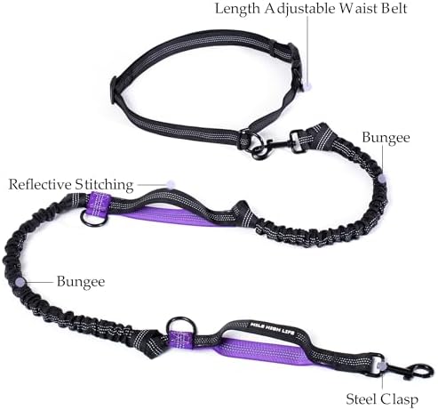 Mile High Life Hands Free Leash, Waist Leash for Dog Running Training and Jogging, Adjustable Belt with Double Padded Handle, Reflective Bungee for Medium Large Dogs (Purple, 7FT) - Image 4