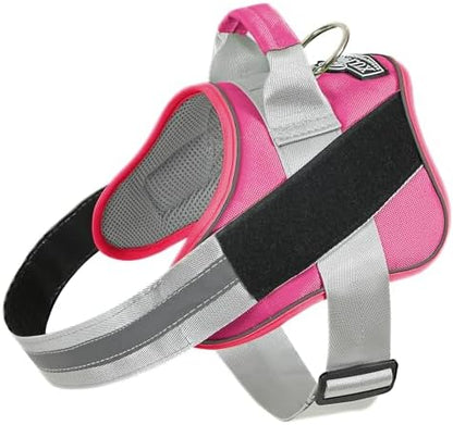 Dog Harness, No-Pull Reflective Dog Vest, Breathable Adjustable Pet Harness with Handle for Outdoor Walking - No More Pulling, Tugging or Choking (Fuchsia, Small (Pack of 1)) by Bolux