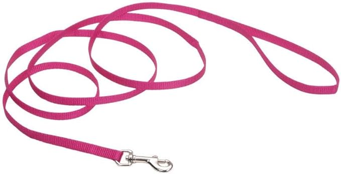 Coastal Pet Single-Ply Dog Leash - Sturdy Pet Leash - Comfortable & Stylish - Resists Fraying - Vibrant & Fade-Resistant Color - Pink Flamingo, 3/8" x 6'
