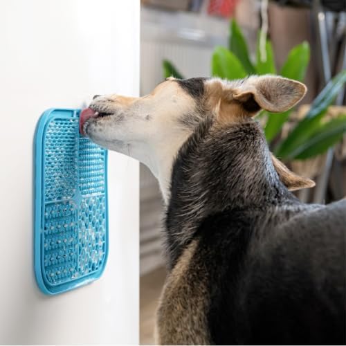 BoneItUp Lick Mat for Dogs & Cats – BPA-Free Dog Food Mat Slow Feeder, Crate Training, Dental Health & Digestion – Slow Feeder Mat for Dogs - Dishwasher Safe Crate Lick Mat (Blue) - Image 4