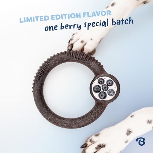 Benebone Ring Dog Chew Toy for Aggressive Chewers, Blueberry, Medium - Image 5