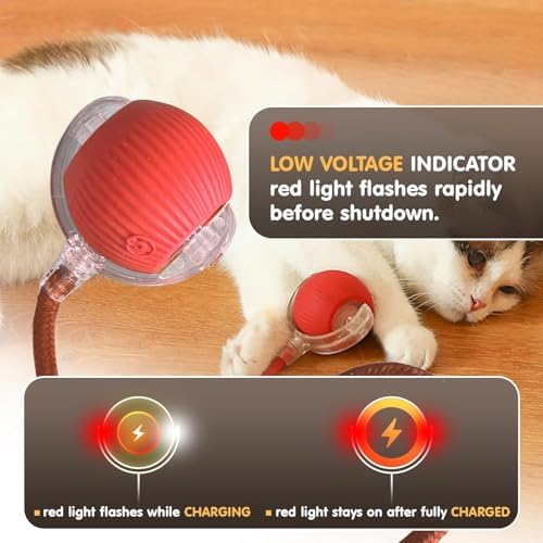 Durable Interactive Cat Toys for Indoor Cats, Smart Automatic Cat Chase Ball Toy, Upgraded Speedy Tail Kitten Toy for Bored Indoor Adult Pets (red, 01) - Image 7