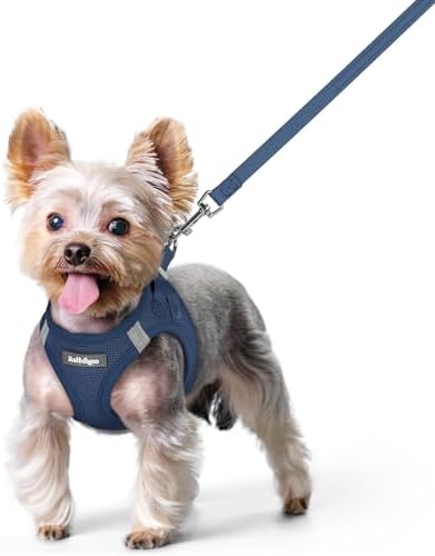 rabbitgoo Dog Harness Small Sized and Leash Set, Step-in Puppy Pet Vest by rabbitgoo