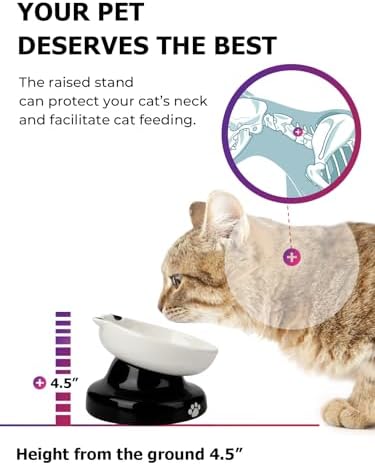 Y YHY Ceramic Cat Slow Feeder, Elevated Dog Food Bowl Tilted Design, Slow Feeder Bowl no Black Chin, Cat Shape for Dry and Wet Food - Image 5