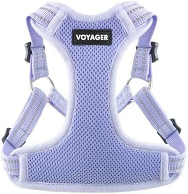Voyager Step-in Flex Adjustable Dog Harness - Lavender, Large by BestPetSuppliesLLC
