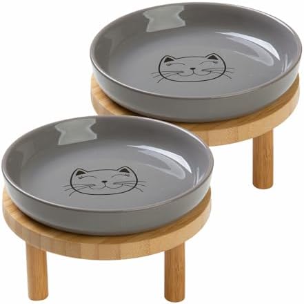 Lusifaco Shallow Wide Elevated Cat Bowls Whisker Fatigue(Grey,Set of 2) by MakesMealsMoreEnjoyable