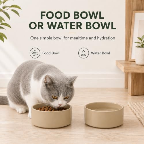 Havniva Cat Bowls Set of Two, 5.1” Ceramic Cat Food Bowls, Cat Water Bowl - Image 7