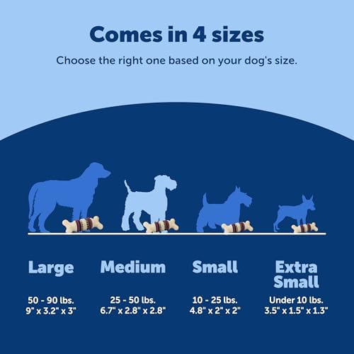 PetSafe Busy Buddy Bristle Bone Dog Treat Holding Chew Toy, Medium - Image 5