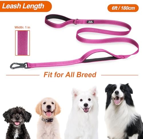 Twoear 6FT 1IN Heavy Duty Dog Leash for Large Dogs with 2 Padded Handles - Image 6
