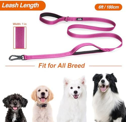 Twoear 6FT 1IN Heavy Duty Dog Leash for Large Dogs with 2 Padded Handles - Image 6