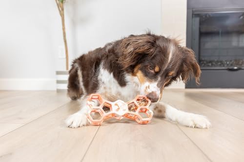 Chuckit! Holee Roller Dog Treat Puzzle Bone, Large, Orange – Interactive Treat & Chew Puzzle Toy for Dogs 60–100 lb – Durable Rubber Bone‑Shaped Fetch Toy for Mental Stimulation – Pack of 1 - Image 3