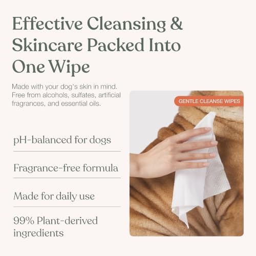 Dandylion Dog Wipes, Gentle Cleanse, Micellar Water Formula, 90 Count - Image 3