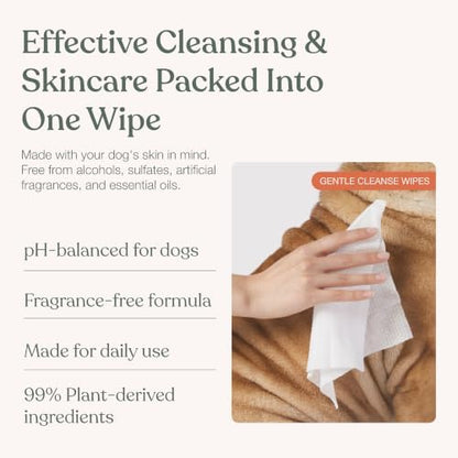 Dandylion Dog Wipes, Gentle Cleanse, Micellar Water Formula, 90 Count - Image 3