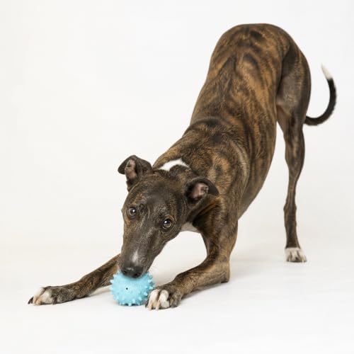 Playology Spiky Chew Ball Dog Toy with Squeak - Medium, Peanut Butter Scent - Image 3