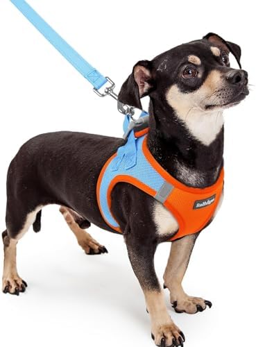 rabbitgoo Dog Harness Small Sized and Leash Set, Step-in Puppy Pet Vest by rabbitgoo