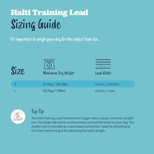 Halti Training Dog Leash | Size S, Black | 2m Length - Image 5