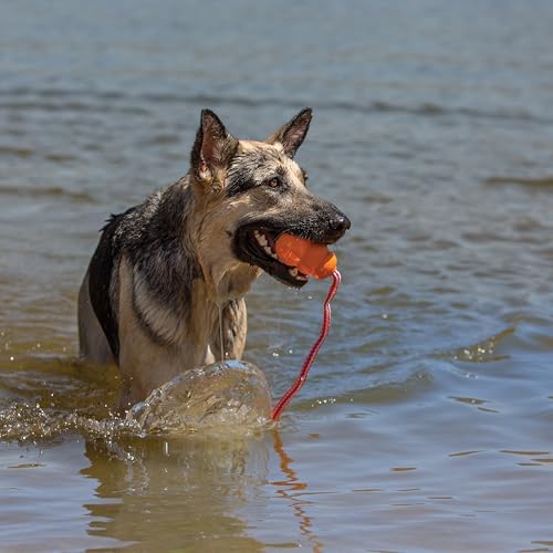 KONG Aqua Floating Fetch Toy, Natural Rubber, Orange, for Large Dogs - Image 2