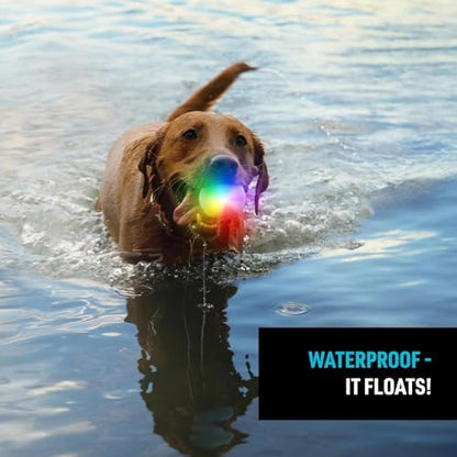 Nite Ize GlowStreak Rechargeable LED Ball - Rubber Dog Toy - Motion-Activated & Waterproof Design - 9 Hours of Runtime - Premium Dog Toys - Disc-O - Image 5