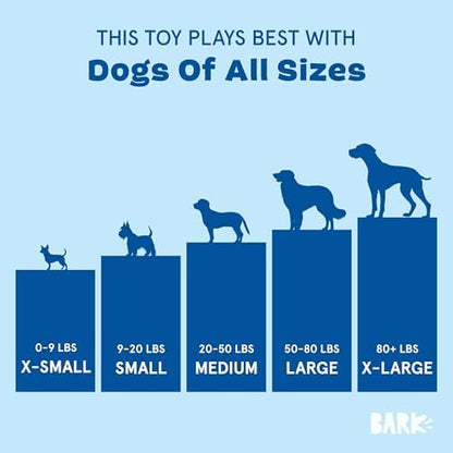 BarkBox Slow Jams Dan Dog Toy - for Dogs - Image 5