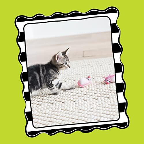 Bamboo Pet CAM650384 Fat Cat Kitty Hoots Eeeks Chic Catnip Toy, Multicolor - Image 2