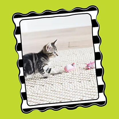 Bamboo Pet CAM650384 Fat Cat Kitty Hoots Eeeks Chic Catnip Toy, Multicolor - Image 2