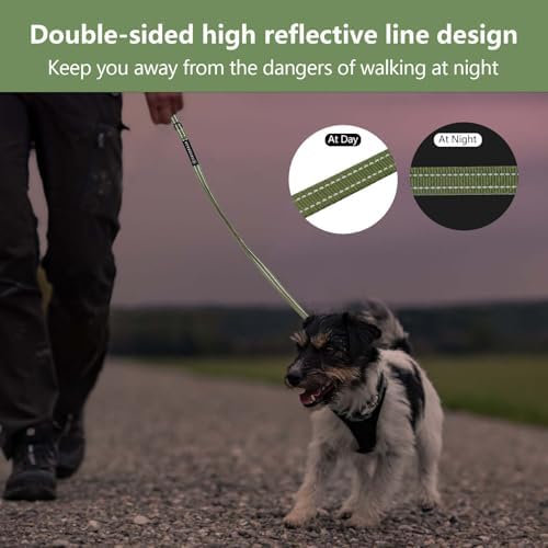 Reflective 6 FT Dog Leash, Premium Traditional Style Puppy Leash with Easy to Use Collar Hook for Small, Medium, and Large Breed Puppies (Green, 3/4 in x 6 ft) - Image 5