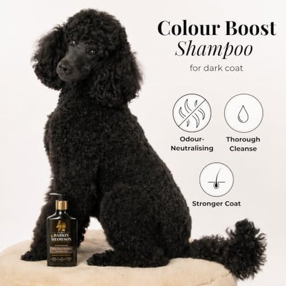 Dark Coat Dog Shampoo with Walnut Extract, 11.83 fl oz - Image 2