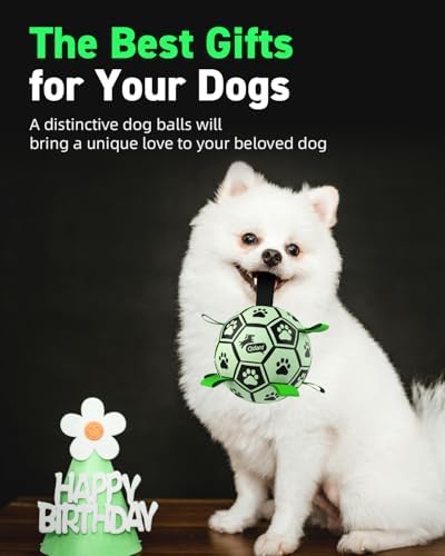 QDAN Glow in The Dark Dog Balls, Soccer Balls for Dogs with Straps, 8 Inch - Image 4