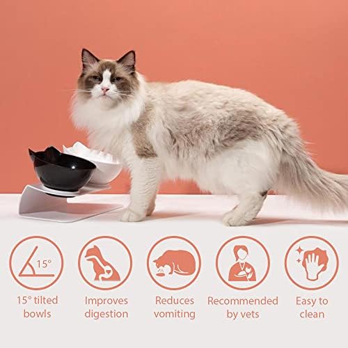 Leo's Paw Anti-Vomiting Orthopedic Cat Bowl Elevated 15° Tilted Cat Food and Water Bowls for Better Digestion Raised Stand with Non-Slip Bottom Detachable Feeding Bowl (Double Clear) - Image 4