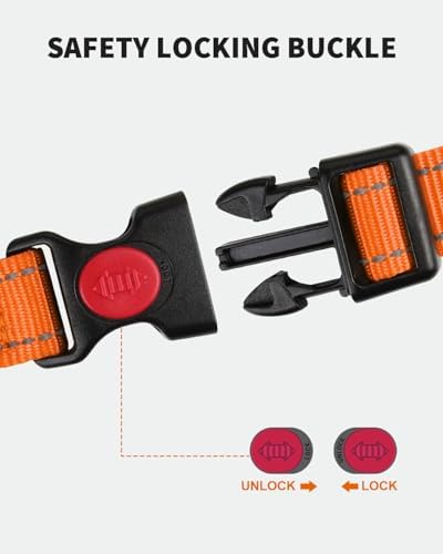 FunTags Martingale Dog Collar and Leash Set for Small Dogs, Locking Buckle - Image 3