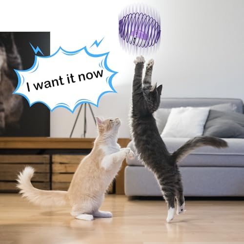 Jecery 5 Pcs Cat Toys Spring,Mouse and Bell,Multicolor - Image 6