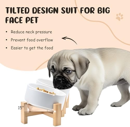SPUNKYJUNKY 15° Slanted Ceramic Dog and Cat Bowl with Wooden Stand, Tilted Bulldog Food and Water Bowl No Slip Non-Spill for Cats Medium Dogs Big Face Pets 13.5 OZ (1.7 Cups, White × 2) - Image 2