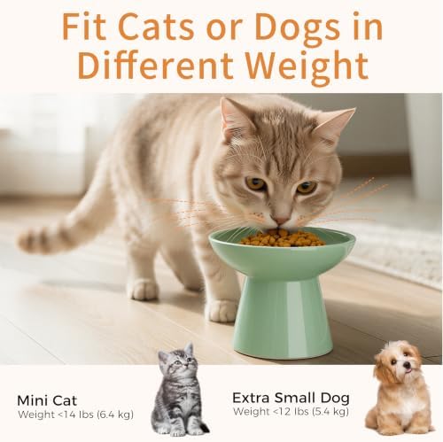 LoeJan Ceramic Cat Bowls, Elevated Cat Food and Water Bowls Set, Extra Wide and Raised Ceramic Bowls, Anti-Vomit Whisker-Free Pressure Cat Feeder for Kittens to Adult Cats - Image 6
