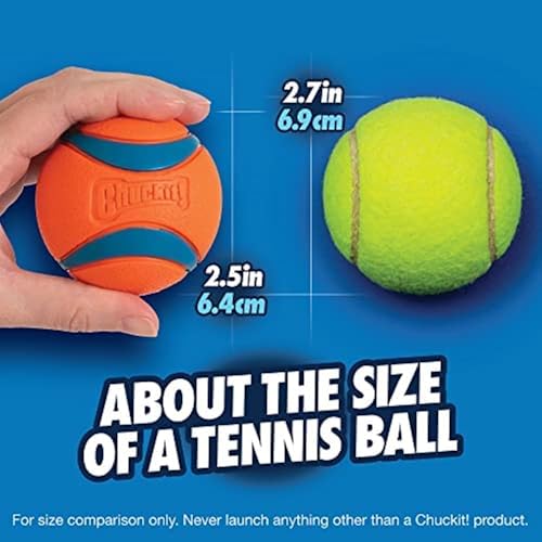 Chuckit! Ultra Ball Dog Toy with Cleaning Bucket, Medium 2.5-in, 8-Pack - Image 5