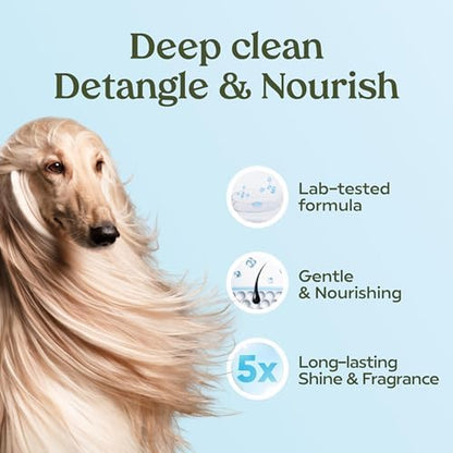 PAWFUME Dog Shampoo and Conditioner, Blue Ribbon, 1-Pack - Image 5