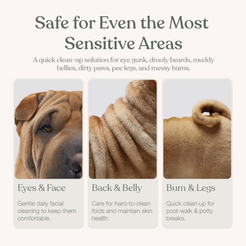 Dandylion Dog Wipes, Gentle Cleanse, Micellar Water Formula, 90 Count - Image 5