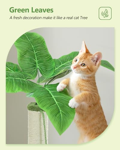 MUTTROS Small Cat Tree, 28" Cat Tower with Sisal Scratching Posts and Coconut Leaves for Indoor Small Cats, Large Hammock and Dangling Ball for Kittens, Green - Image 6