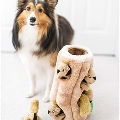 Outward Hound Hide-A-Squirrel Plush Squeaky Dog Toy, Medium, 6.5" x 6.5" - Image 2
