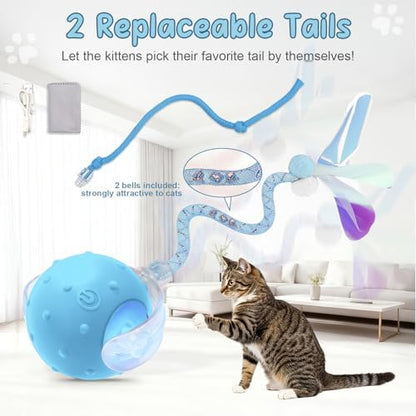 Interactive Automatic Cat Toy Ball-USB Rechargeable，Motion Activated Toy - Image 3