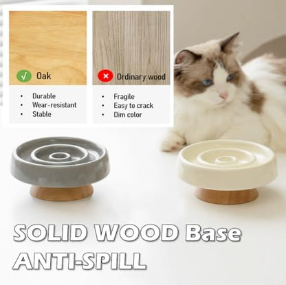 Ceramic Cat Slow Feeder, Raised Slow Feeder Cat Bowl, Anti Vomiting and Whisker Friendly Kitty Dish, Elevated Puppy Kitten Bowl for Dry and Wet Food (Gray) - Image 6