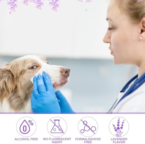 Treela 10 Pack Dog Pet Wipes, 80 Count Paws Body, Lavender - Image 3