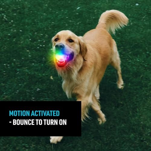 Nite Ize GlowStreak Rechargeable LED Ball - Rubber Dog Toy - Motion-Activated & Waterproof Design - 9 Hours of Runtime - Premium Dog Toys - Disc-O - Image 2