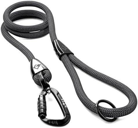 MADE TO ROAM Premium Explorer Leash - Climbing Rope Leash with Autolocking Aviation Aluminum Carabiner - New York Afterlight, 6ft by MADETOROAM