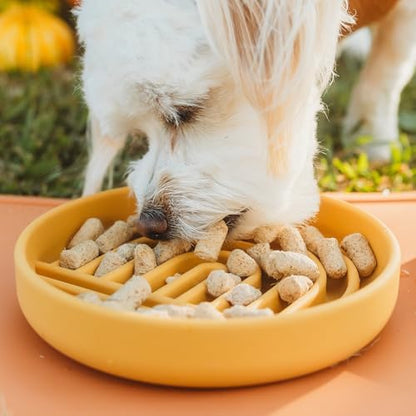 Slow Feeder Dog Bowl - Silicone Dog Bowl, Small, 6" x 1.25" - Honey - Image 2