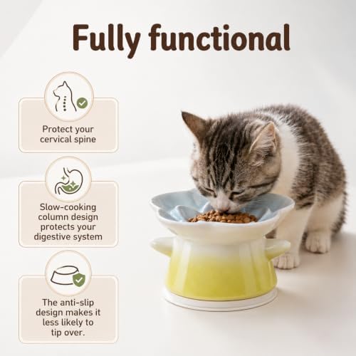 Slow Feeder Cat Bowl with Anti Slip Padfor Dry and Wet Food - Image 7