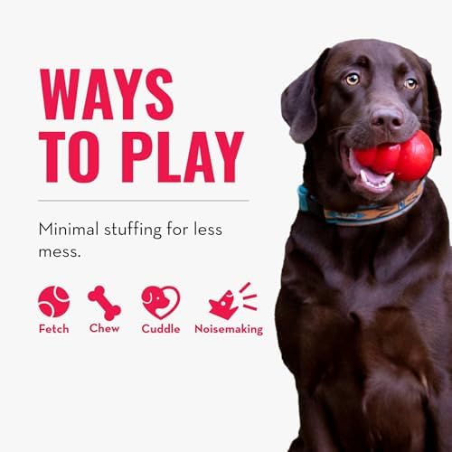 Kong Wild Knots Bear, Knotted Rope Plush Toy, for Medium/Large Dogs - Image 5
