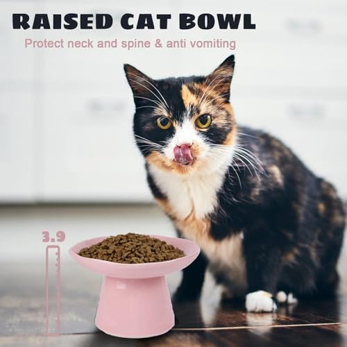 Extra Wide 6.1" Raised Cat Food Bowl, Shallow Ceramic Elevated Cat Feeder, Anti Vomiting, Stress Free, Whisker Fatigue, Pet Food or Water Bowl, Pink - Image 5