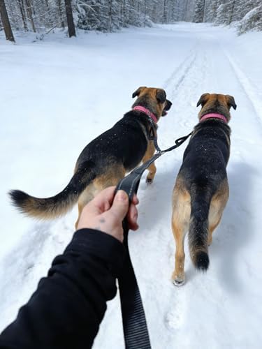 Dual Dog Leash Coupler Double Control Padded Handle for 2 Large Dogs - Image 5